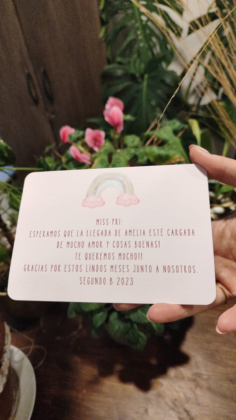 Pedidos especiales